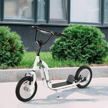Load image into Gallery viewer, Dual Brakes 12" Metal frame Kick Scooter adjustable black