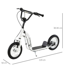Load image into Gallery viewer, Dual Brakes 12" Metal frame Kick Scooter adjustable black